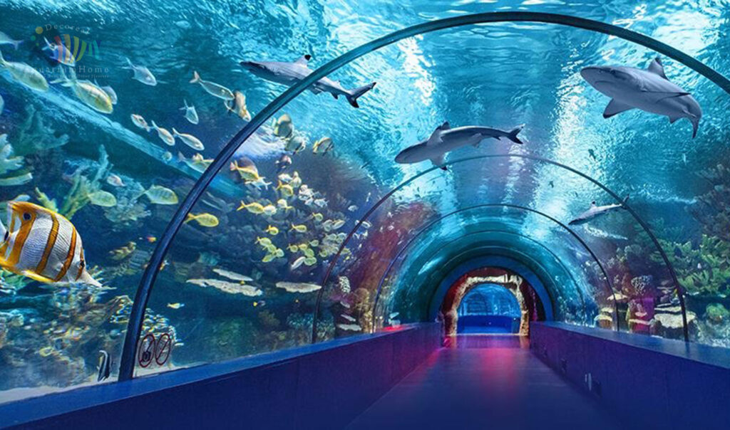 Aquarium Tunnel of Chandigarh